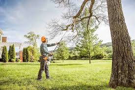 Best Soil Testing and Treatment  in Mount Vernon, TX